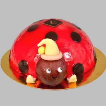 La Coccinelle aux sports d'hiver