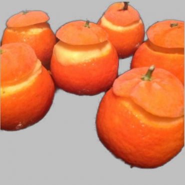 Mandarine Givrée